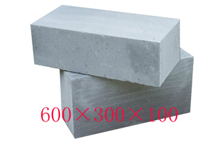 粉煤灰蒸压加气混凝土砌块600*300*100
